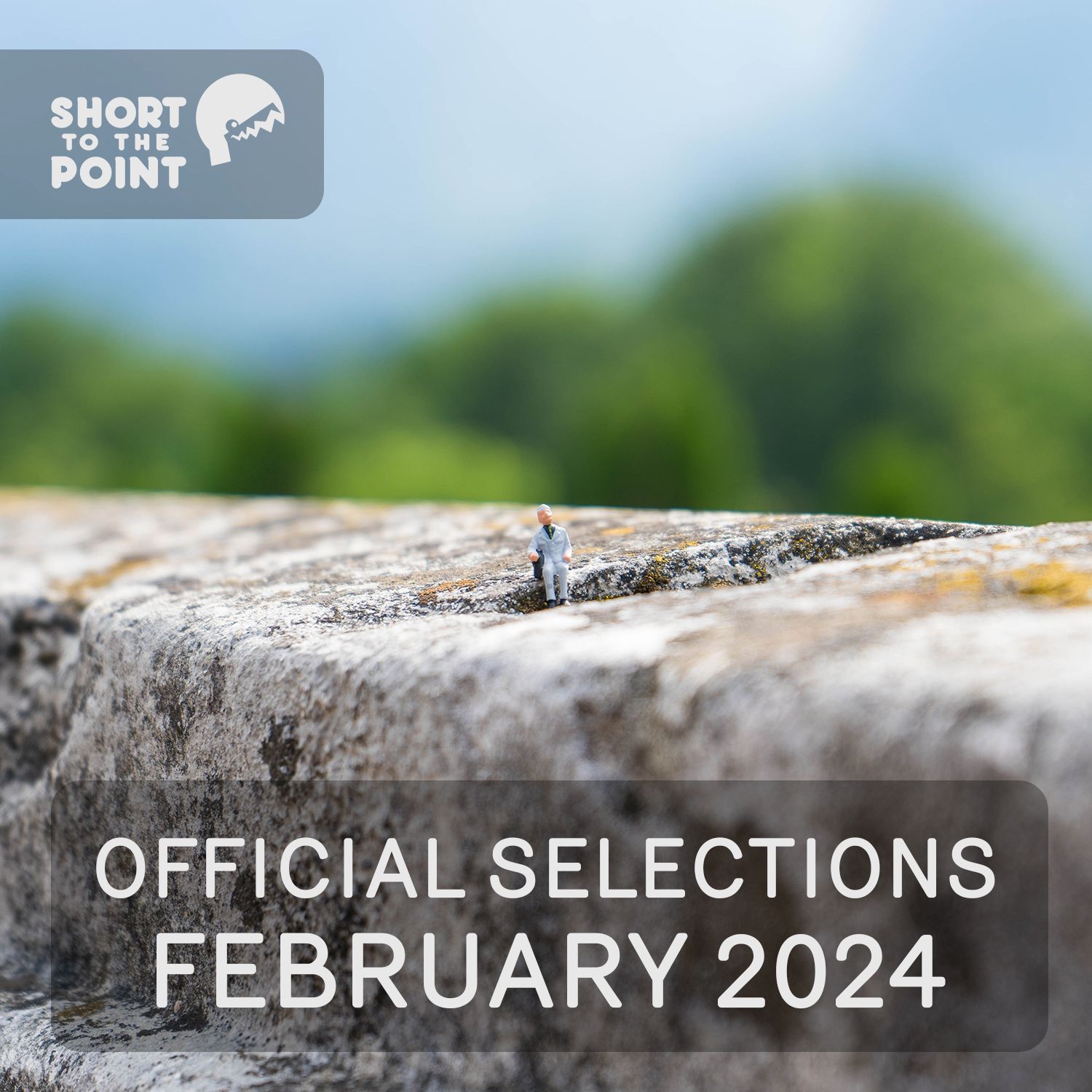 SHORT to the Point – February 2024 Nominees - SHORT to the Point